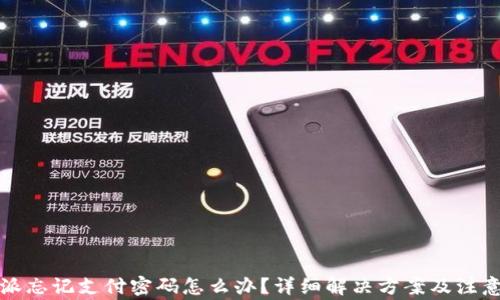 
比特派忘记支付密码怎么办？详细解决方案及注意事项