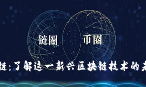 比特派链：了解这一新兴区块链技术的未来发展