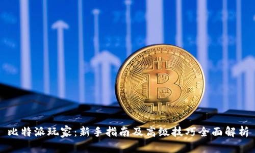 比特派玩家：新手指南及高级技巧全面解析