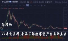 思考的VV币交易所：全面了