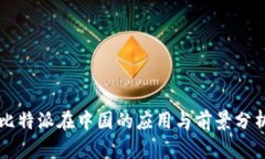 比特派在中国的应用与前