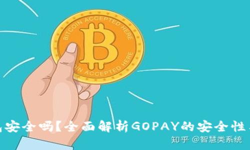 GOPAY钱包安全吗?全面解析GOPAY的安全性与使用指南