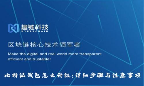 比特派钱包怎么升级：详细步骤与注意事项