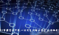 TOPAY苹果官方下载：一站式