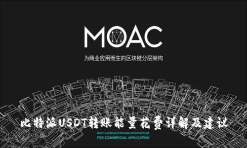 比特派USDT转账能量花费详解及建议