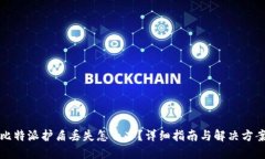 比特派护盾丢失怎么办？
