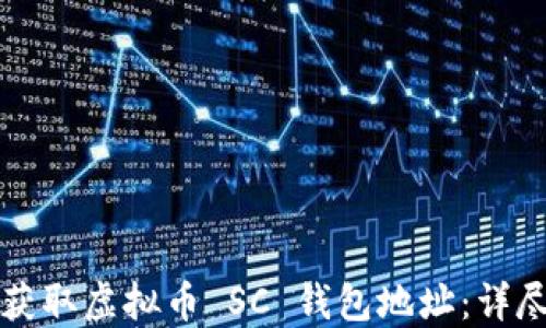 
如何获取虚拟币 SC 钱包地址：详尽指南
