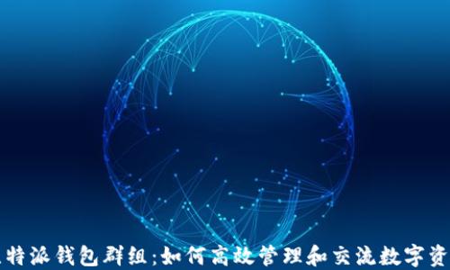 
比特派钱包群组：如何高效管理和交流数字资产