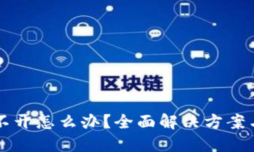 区块链钱包打不开怎么办？全面解决方案与故障排除指南
