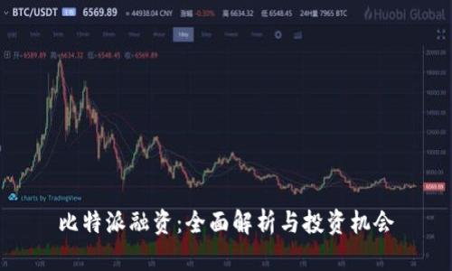 比特派融资：全面解析与投资机会