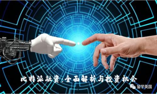 比特派融资：全面解析与投资机会
