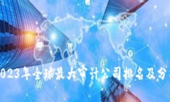 2023年全球最大审计公司排