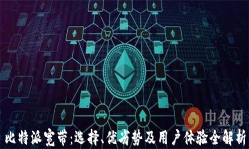 
比特派宽带：选择、优劣势及用户体验全解析