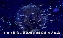 Bitpie转错了能找回来吗？