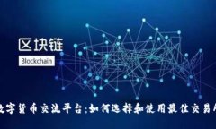 数字货币交流平台：如何