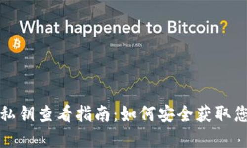 比特派私钥查看指南：如何安全获取您的密码