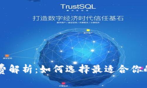 虚拟钱包手续费解析：如何选择最适合你的电子支付方式