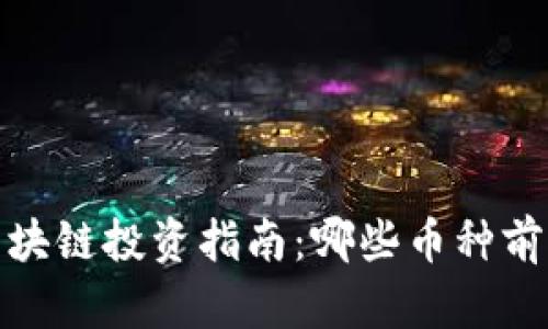 2023年区块链投资指南：哪些币种前景最看好？